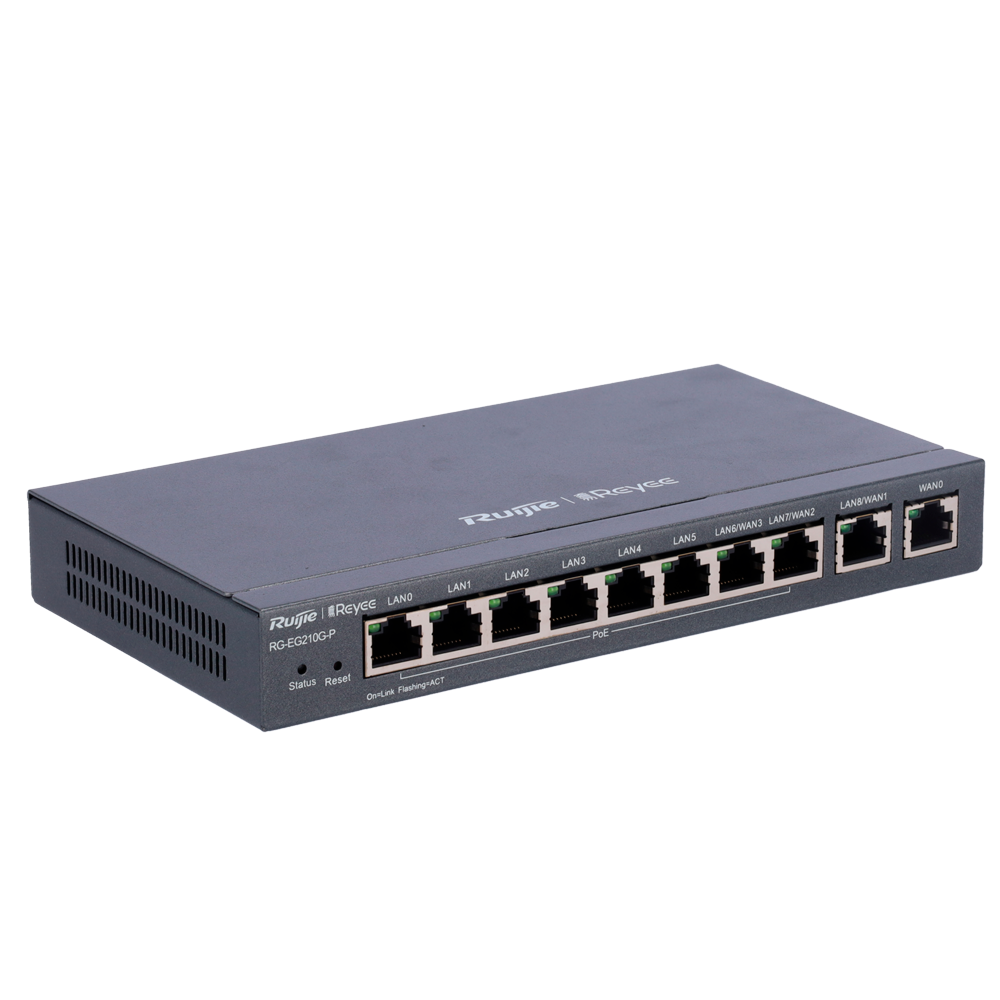 RG-EG210G-P - Image 2