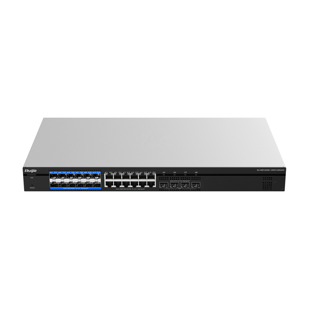 RG-NBF5300M-12MFS12MG4XS - Image 2