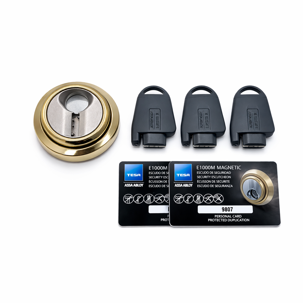 TESA-ESCUTCHEON-MAGNETIC-G - Image 2