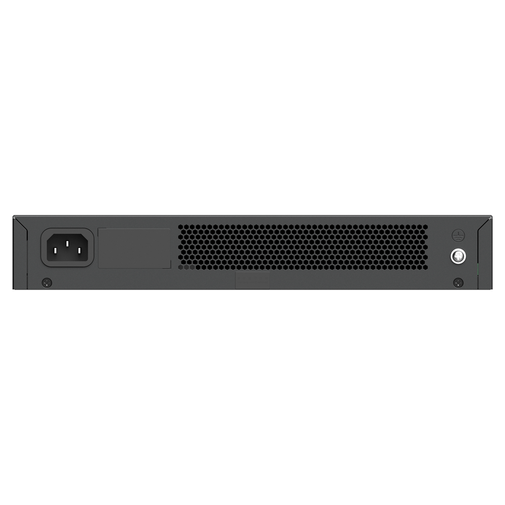 RG-ES124G-L - Image 3