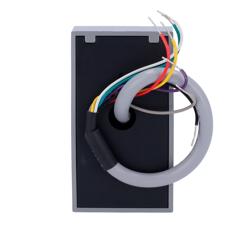 ZK-PROID10-B-WG-2 - Image 4