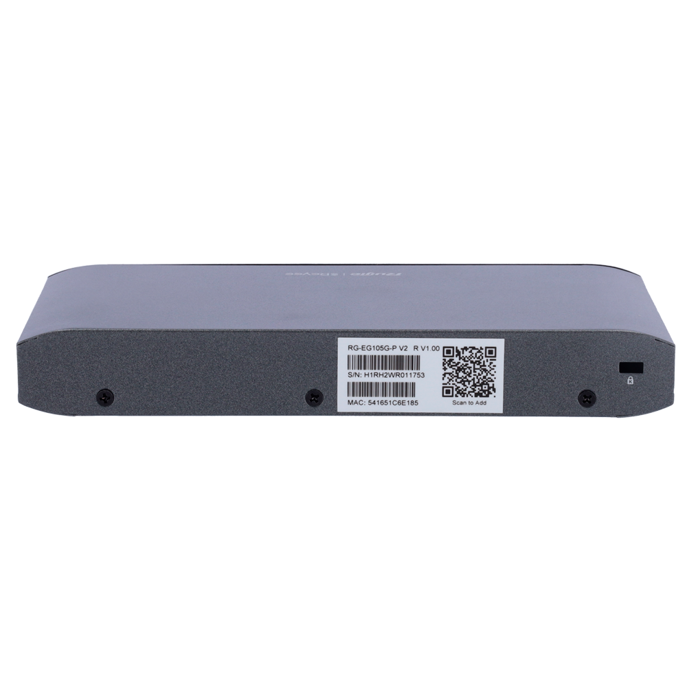 RG-EG105G-P V2 - Image 4