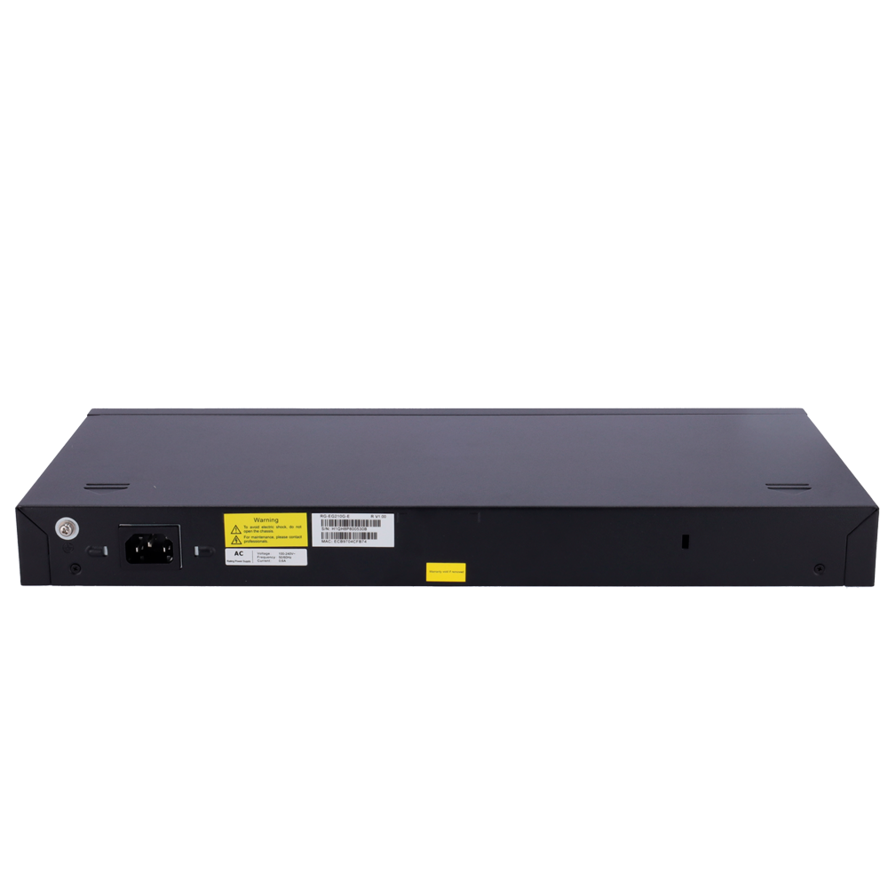 RG-EG210G-E - Image 4